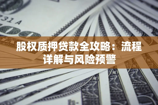 武汉股权质押贷款全攻略：流程详解与风险预警