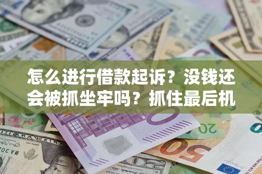 武汉怎么进行借款起诉？没钱还会被抓坐牢吗？抓住最后机会！