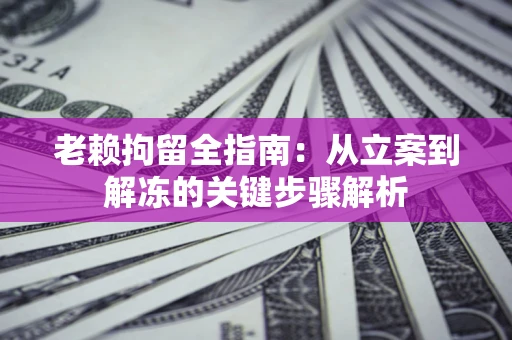 武汉老赖拘留全指南：从立案到解冻的关键步骤解析