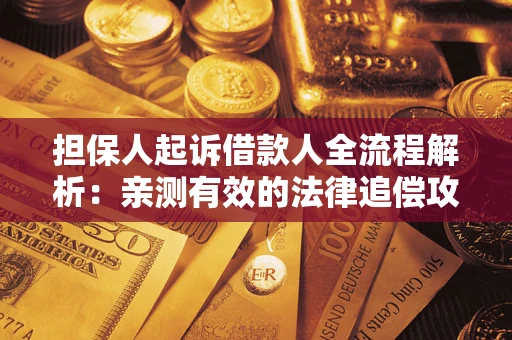 武汉担保人起诉借款人全流程解析：亲测有效的法律追偿攻略