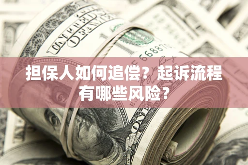 武汉担保人如何追偿？起诉流程有哪些风险？