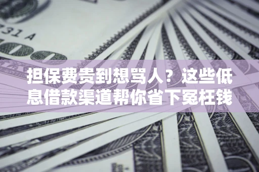 武汉担保费贵到想骂人？这些低息借款渠道帮你省下冤枉钱