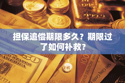 武汉担保追偿期限多久？期限过了如何补救？