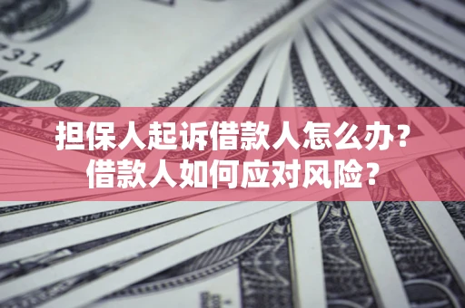 武汉担保人起诉借款人怎么办？借款人如何应对风险？