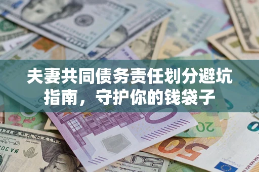 武汉夫妻共同债务责任划分避坑指南，守护你的钱袋子